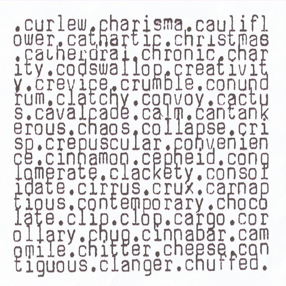 the original 'C' template used for the erasure poetry